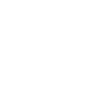 AppLovin Corporation logo