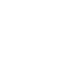The Walt Disney Company logo