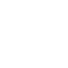 VanEck Semiconductor ETF logo