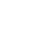 XPeng Inc. logo
